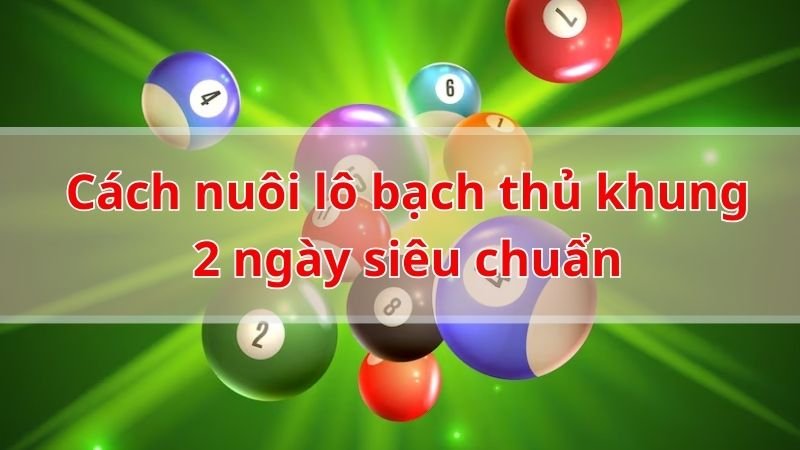 Hướng dẫn cách nuôi lô bạch thủ khung 2 ngày siêu chuẩn