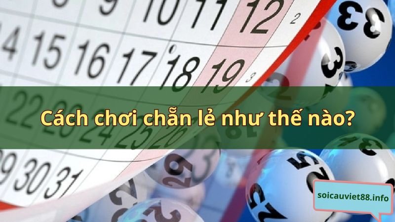 Cách chơi chẵn lẻ như thế nào?