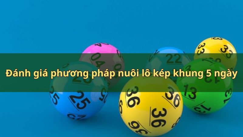 Đánh giá phương pháp nuôi lô kép khung 5 ngày