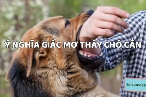 Giải mã giấc mơ bị chó cắn? Chó cắn đánh con gì dễ trúng?