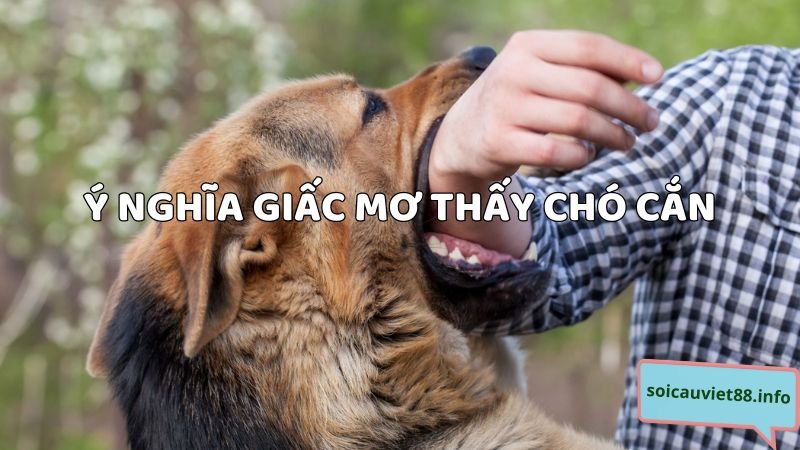 Ý nghĩa giấc mơ thấy chó cắn