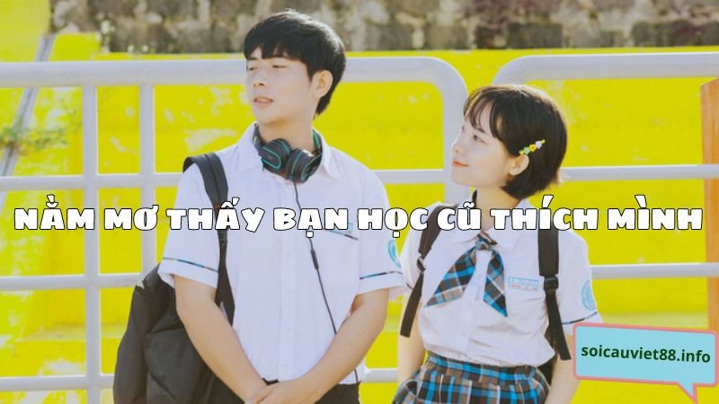 Nằm mơ thấy bạn học cũ thích mình