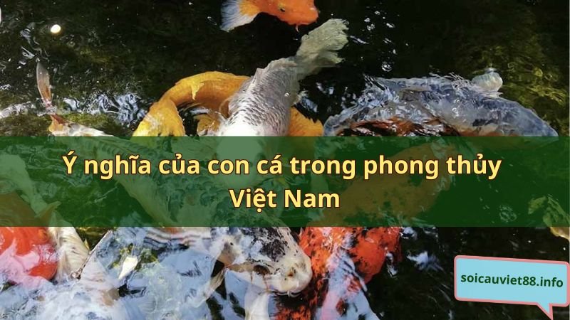 Ý nghĩa của con cá trong phong thủy Việt Nam