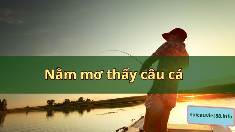 Nằm mơ thấy câu cá