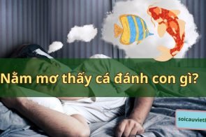 Mơ thấy cá là điềm báo tốt hay xấu? Mơ thấy cá đánh con gì?