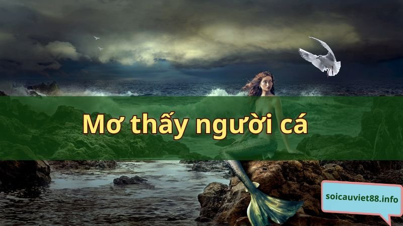 Mơ thấy người cá