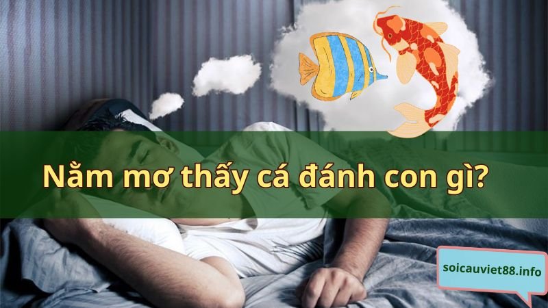 Nằm mơ thấy cá đánh con gì?