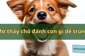 Nằm mơ thấy chó đánh con gì? Là điềm lành hay điềm dữ