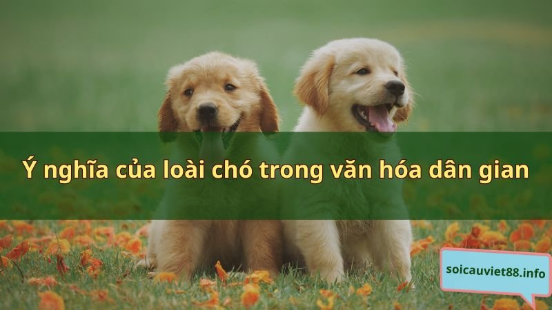 Ý nghĩa của loài chó trong văn hóa dân gian