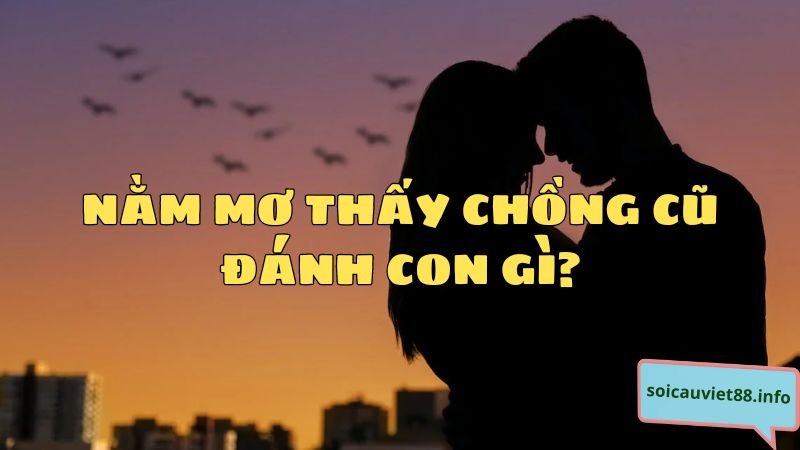 Nằm mơ thấy chồng cũ đánh con gì?