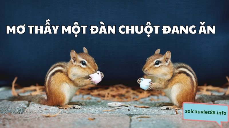 Mơ thấy một đàn chuột đang ăn