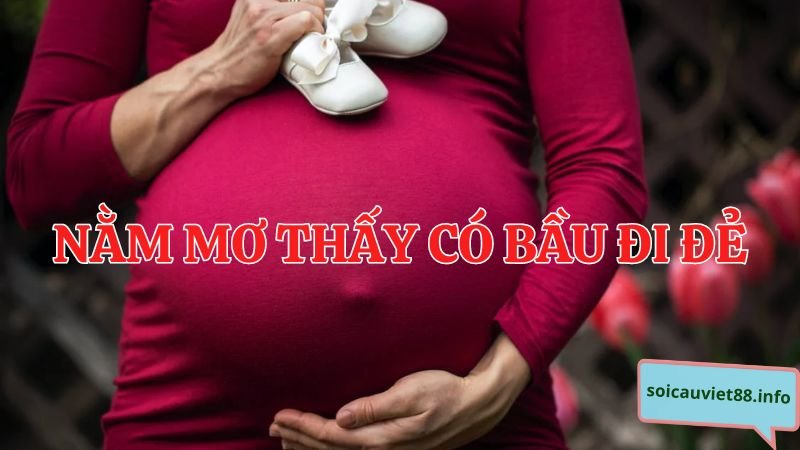 Nằm mơ thấy có bầu đi đẻ