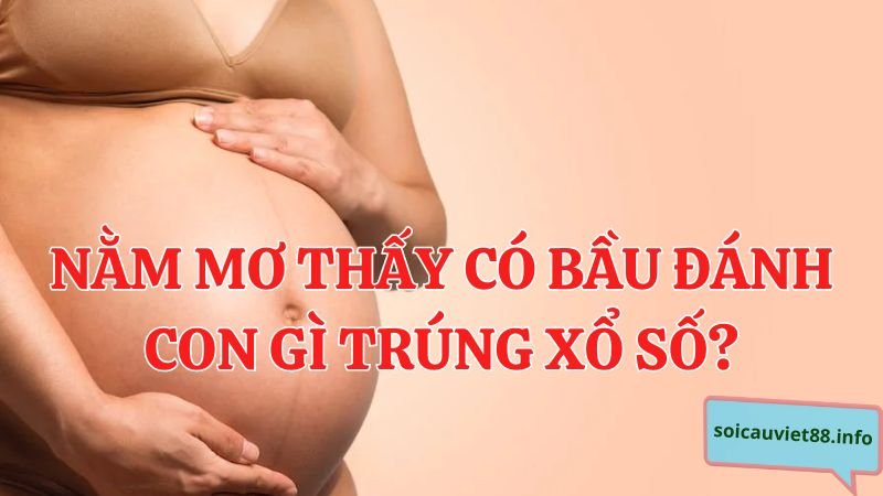 Nằm mơ thấy có bầu đánh con gì trúng xổ số?