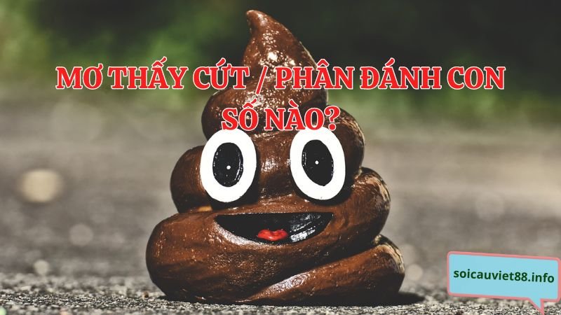 Mơ thấy cứt / phân đánh con số nào?