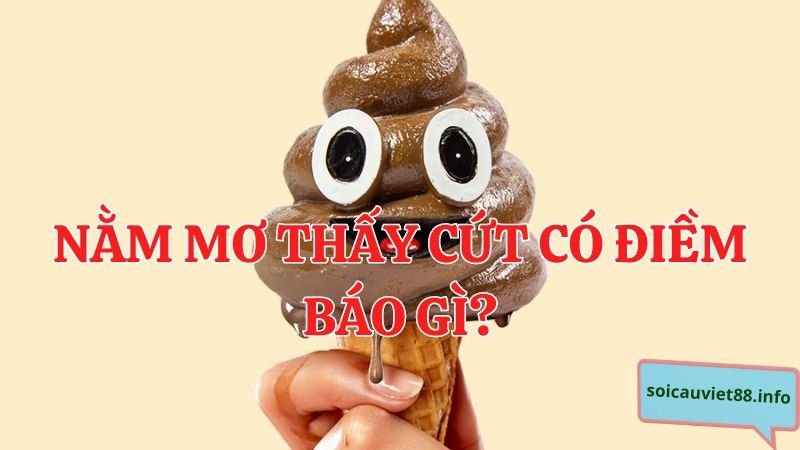 Nằm mơ thấy cứt có điềm báo gì?