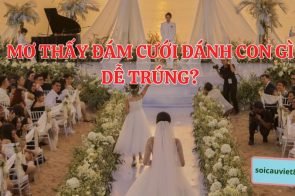 Mơ thấy đám cưới đánh con gì? Có phải điềm báo tốt lành?