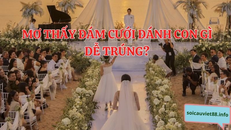 Mơ thấy đám cưới đánh con gì dễ trúng?