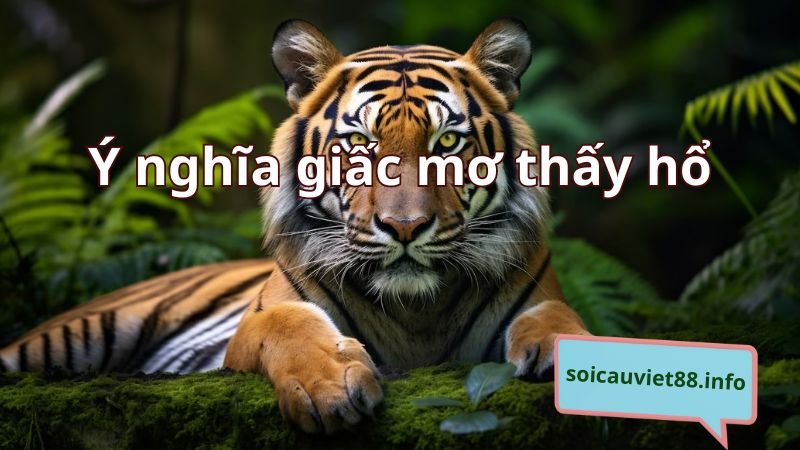 Ý nghĩa giấc mơ thấy hổ