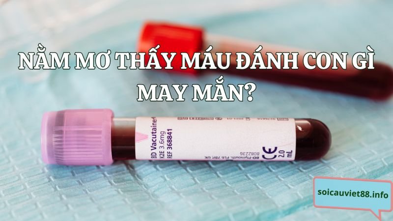 Nằm mơ thấy máu đánh con gì may mắn?