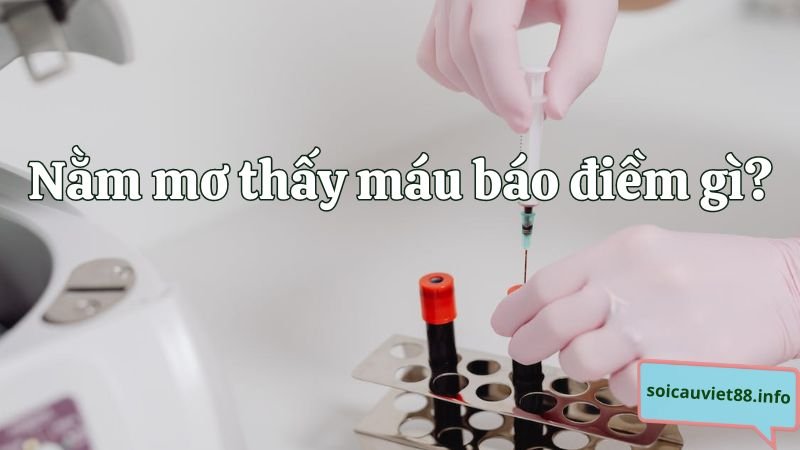 Nằm mơ thấy máu báo điềm gì?