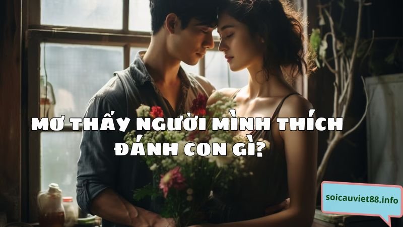 Mơ thấy người mình thích đánh con gì?