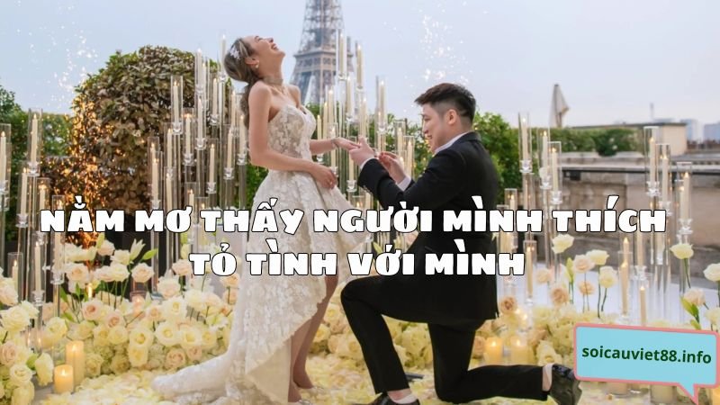 Nằm mơ thấy người mình thích tỏ tình với mình