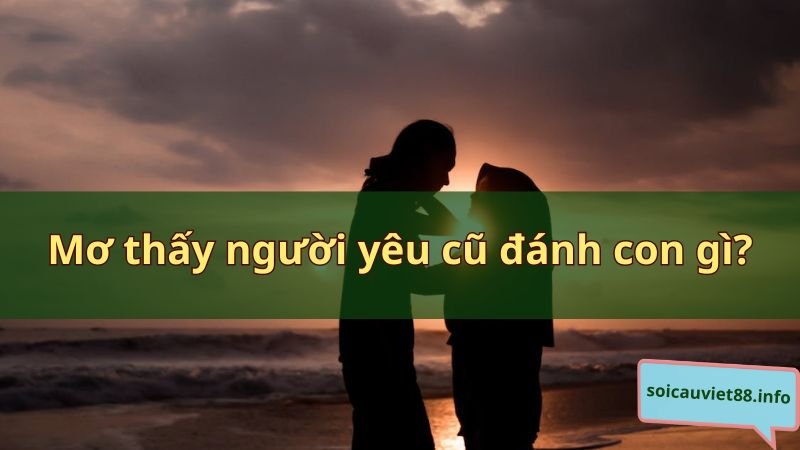 Mơ thấy người yêu cũ đánh con gì?