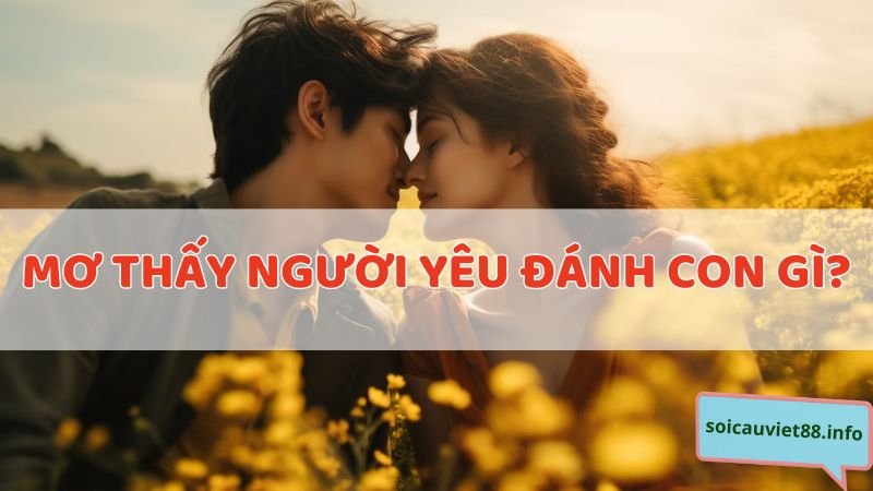 Mơ thấy người yêu đánh con gì?