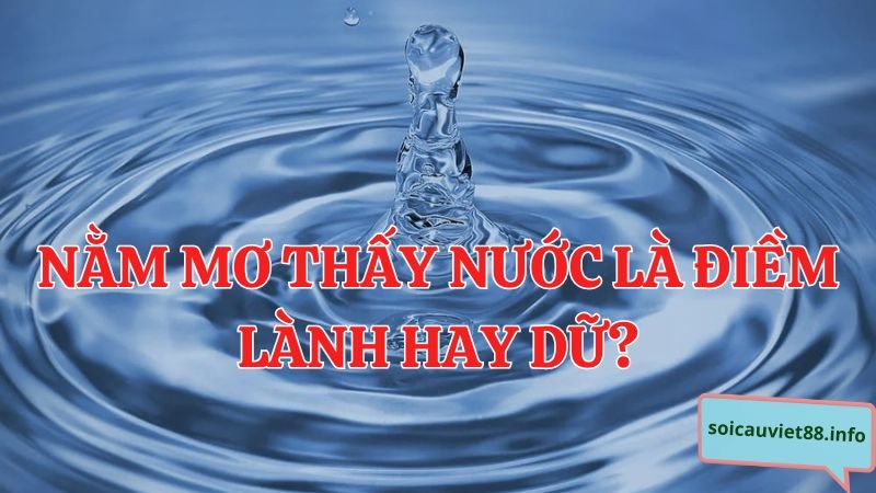 Nằm mơ thấy nước là điềm lành hay dữ?