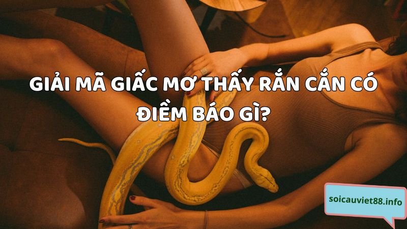 Giải mã giấc mơ thấy rắn cắn có điềm báo gì?