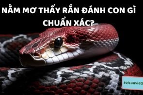 Nằm mơ thấy rắn cắn là điềm báo gì? Đánh số mấy?