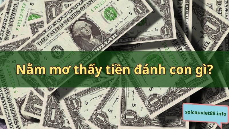 Nằm mơ thấy tiền đánh con gì?