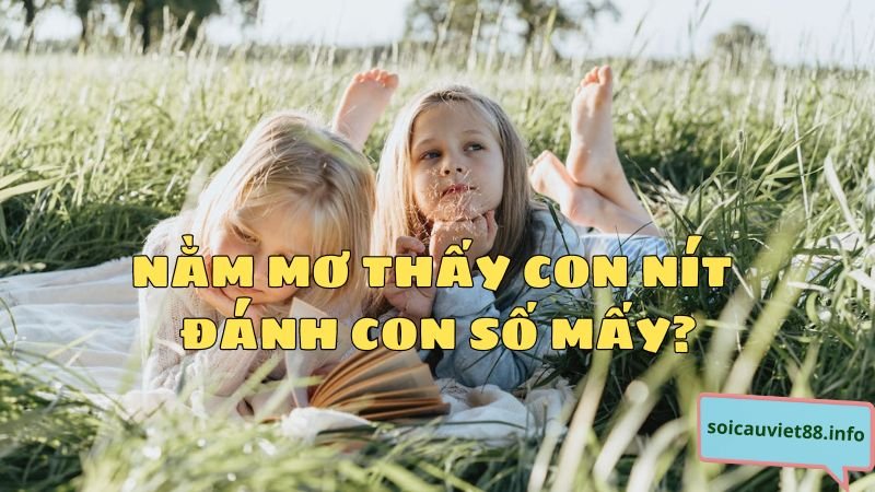 Nằm mơ thấy con nít đánh con số mấy?