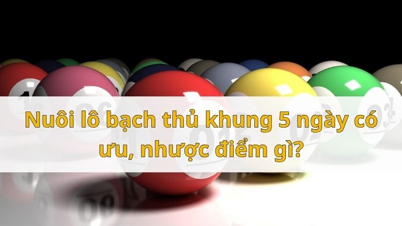 Nuôi lô bạch thủ khung 5 ngày có ưu, nhược điểm gì?