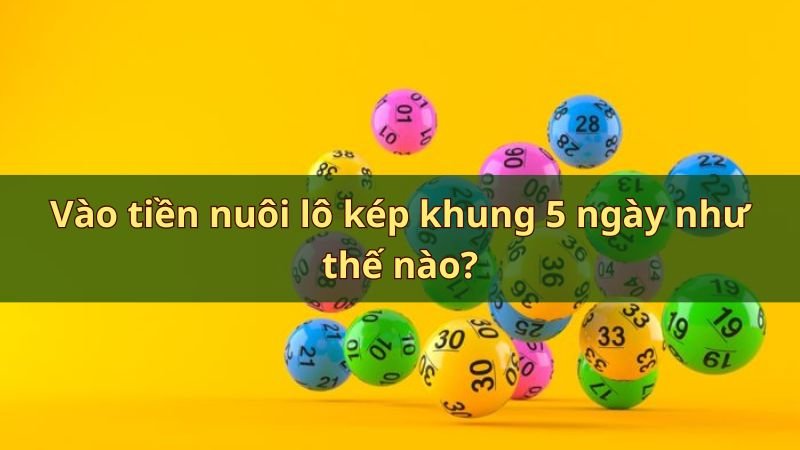 Vào tiền nuôi lô kép khung 5 ngày như thế nào chuẩn nhất?