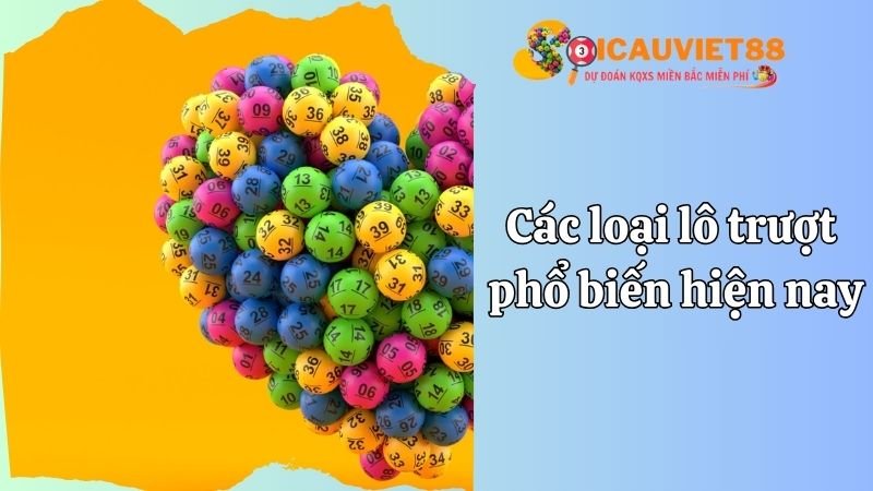 Các loại lô trượt phổ biến hiện nay