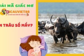 Giải mã giấc mơ thấy trâu có ý nghĩa gì? Con trâu số mấy?