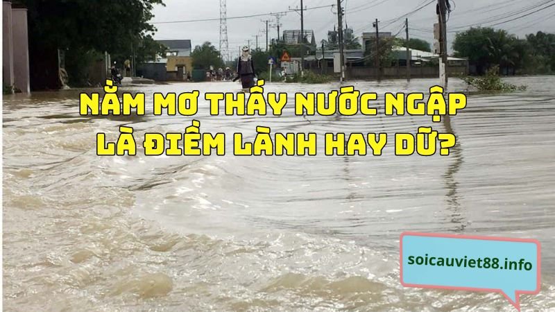 Nằm mơ thấy nước ngập là điềm lành hay dữ?