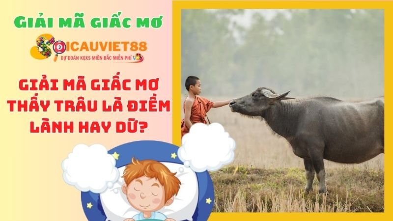 Giải mã giấc mơ thấy trâu là điềm lành hay dữ?