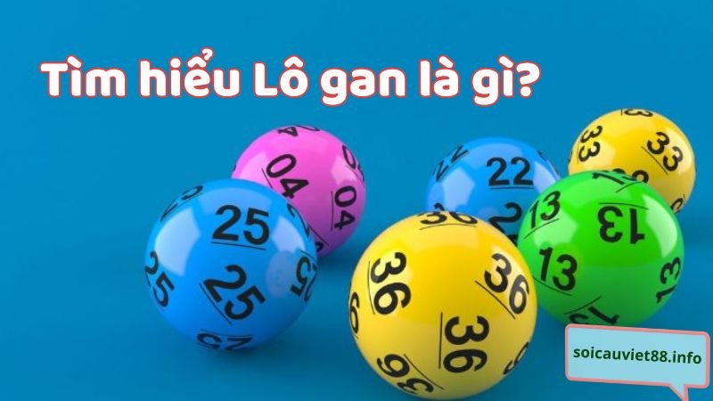 Tìm hiểu Lô gan là gì?