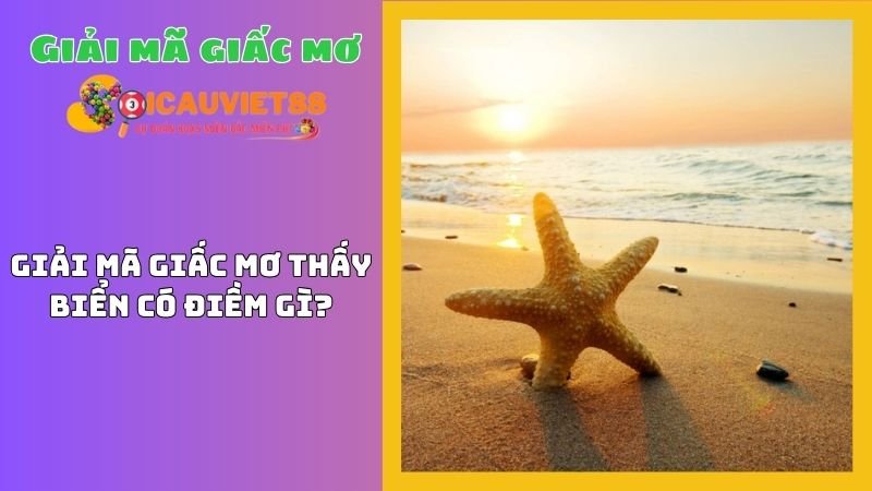 Giải mã giấc mơ thấy biển có điềm gì?