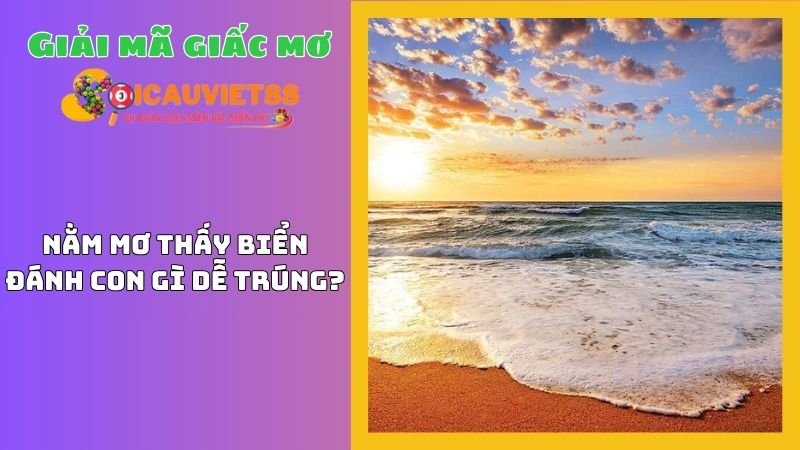 Nằm mơ thấy biển đánh con gì dễ trúng?