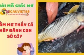 Nằm mơ thấy cá chép là điềm báo gì? Đánh con số mấy?