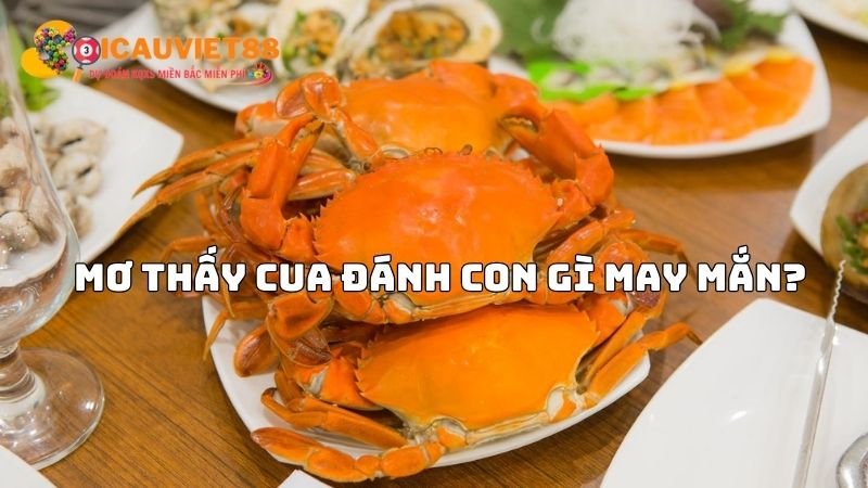 Con cua số mấy? Mơ thấy cua đánh con gì may mắn?