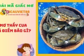 Mơ thấy cua là điềm lành hay dữ? Đánh con gì dễ trúng?