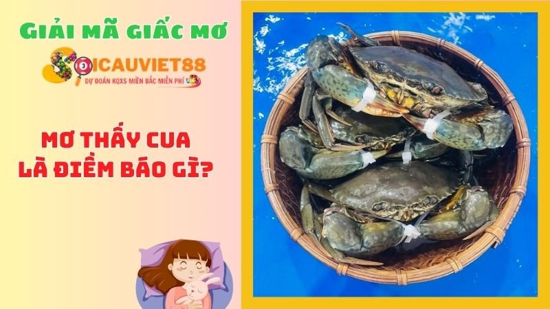 Mơ thấy cua là điềm báo gì? 