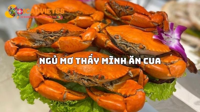 Ngủ mơ thấy mình ăn cua