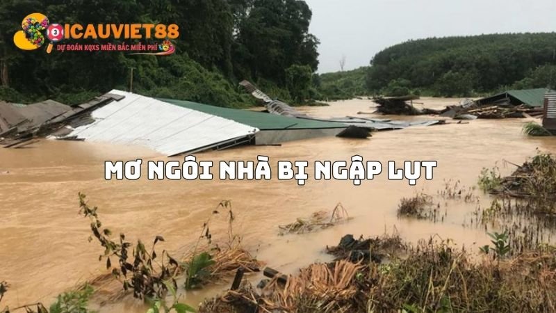 Mơ ngôi nhà bị ngập lụt