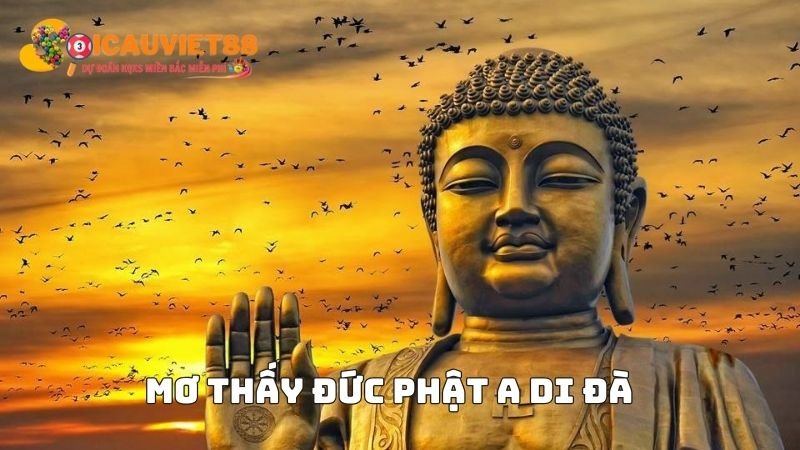 Mơ thấy Đức Phật A Di Đà