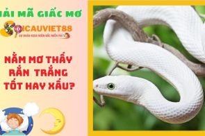 Mơ thấy rắn trắng có điềm báo gì? Giải mã giấc mơ chi tiết